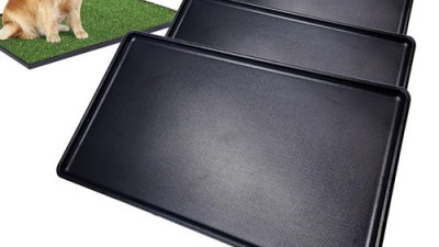 🐶 7일 만에 댕댕이 배변 훈련 마스터?! 솔직 후기! 🚽✨